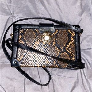 Snakeskin Purse